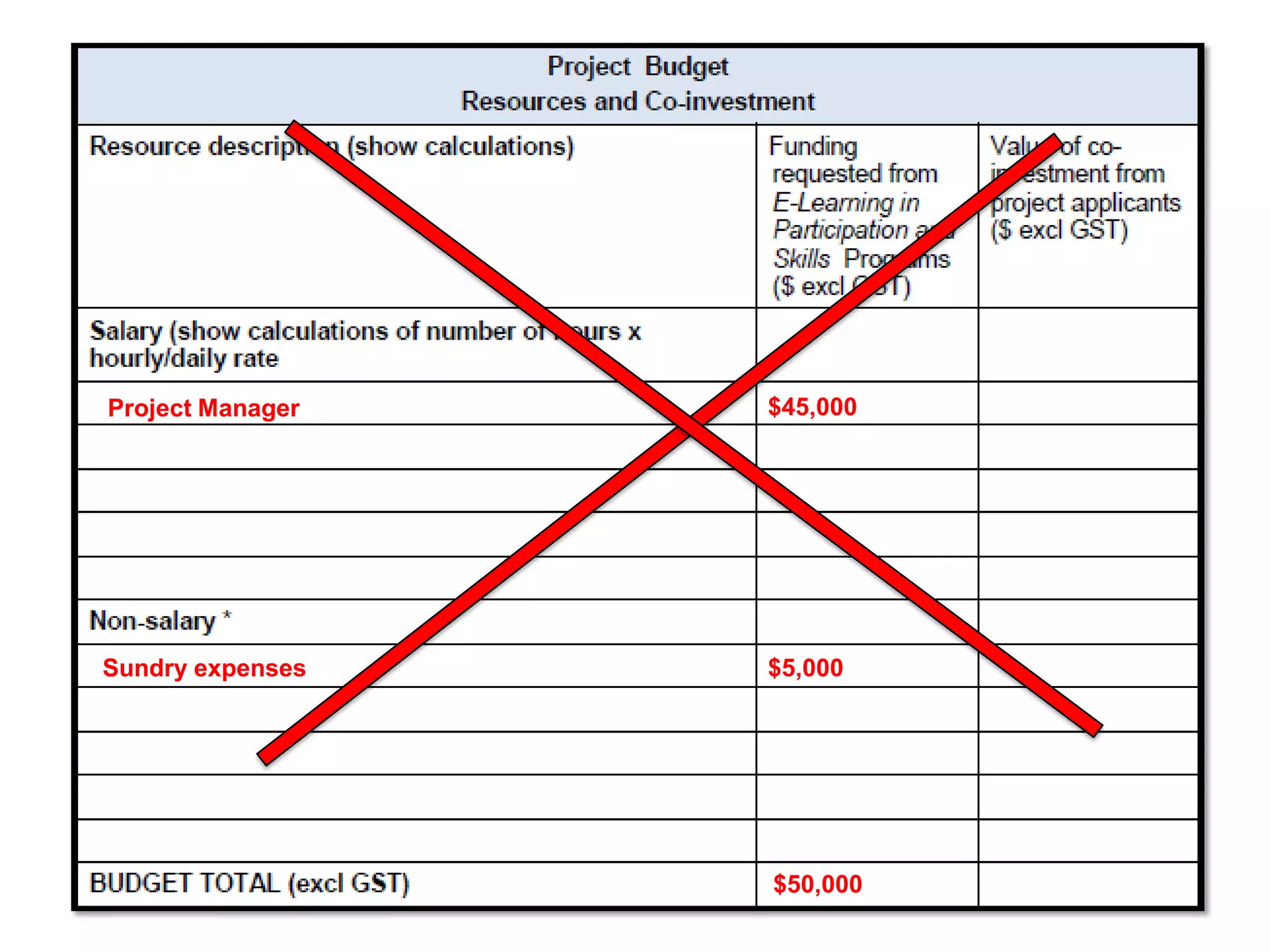 Project Manager   $45,000




Sundry expenses   $5,000




                  $50,000
 
