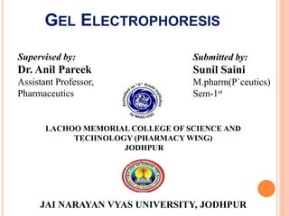 GEL ELECTROPHORESIS
Supervised by:
Dr. Anil Pareek
Assistant Professor,
Pharmaceutics
Submitted by:
Sunil Saini
M.pharm(P`ceutics)
Sem-1st
LACHOO MEMORIAL COLLEGE OF SCIENCE AND
TECHNOLOGY (PHARMACY WING)
JODHPUR
JAI NARAYAN VYAS UNIVERSITY, JODHPUR
 