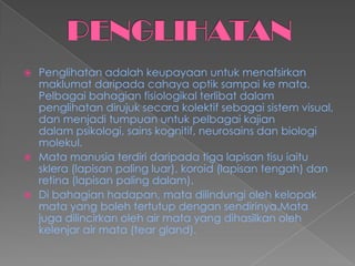  Penglihatan adalah keupayaan untuk menafsirkan
maklumat daripada cahaya optik sampai ke mata.
Pelbagai bahagian fisiologikal terlibat dalam
penglihatan dirujuk secara kolektif sebagai sistem visual,
dan menjadi tumpuan untuk pelbagai kajian
dalam psikologi, sains kognitif, neurosains dan biologi
molekul.
 Mata manusia terdiri daripada tiga lapisan tisu iaitu
sklera (lapisan paling luar), koroid (lapisan tengah) dan
retina (lapisan paling dalam).
 Di bahagian hadapan, mata dilindungi oleh kelopak
mata yang boleh tertutup dengan sendirinya.Mata
juga dilincirkan oleh air mata yang dihasilkan oleh
kelenjar air mata (tear gland).
 