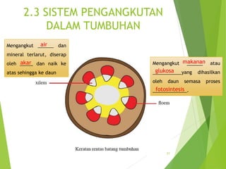 2.3 SISTEM PENGANGKUTAN
DALAM TUMBUHAN
27
Mengangkut ______ dan
mineral terlarut, diserap
oleh _____ dan naik ke
atas sehingga ke daun
Mengangkut ______ atau
___________yang dihasilkan
oleh daun semasa proses
_____________.
air
akar makanan
glukosa
fotosintesis
 