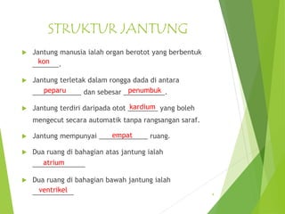 STRUKTUR JANTUNG
 Jantung manusia ialah organ berotot yang berbentuk
_______.
 Jantung terletak dalam rongga dada di antara
_____________ dan sebesar ___________.
 Jantung terdiri daripada otot ________ yang boleh
mengecut secara automatik tanpa rangsangan saraf.
 Jantung mempunyai _____________ ruang.
 Dua ruang di bahagian atas jantung ialah
______________
 Dua ruang di bahagian bawah jantung ialah
___________ 4
kon
peparu penumbuk
kardium
empat
atrium
ventrikel
 