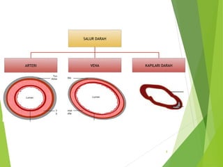 8
SALUR DARAH
ARTERI VENA KAPILARI DARAH
 