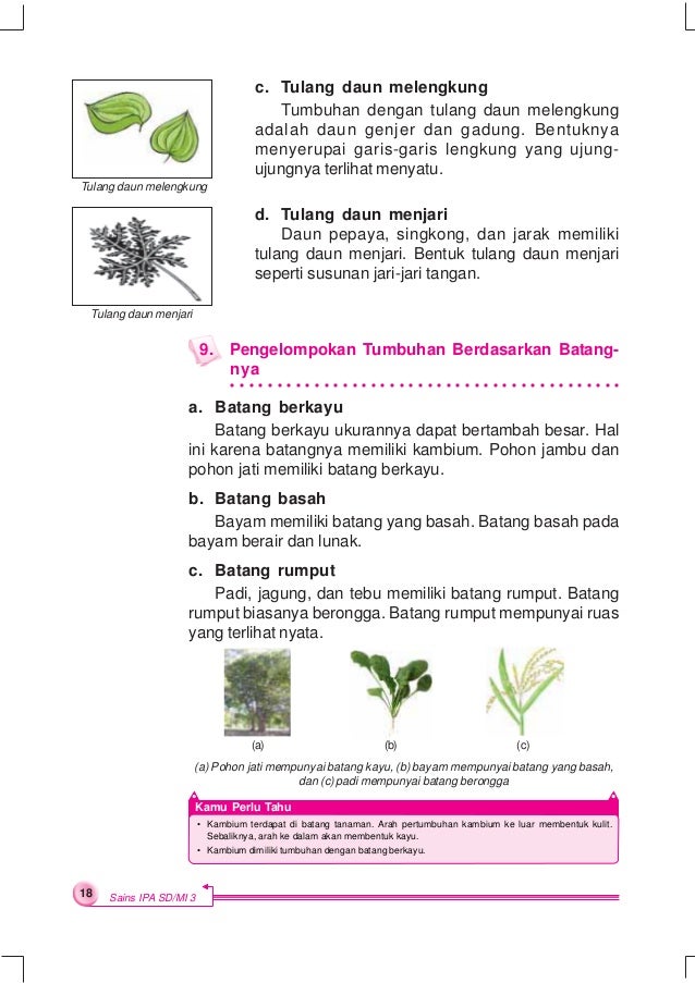 Vdh1kwsmn5p11m Vdh1kwsmn5p11m