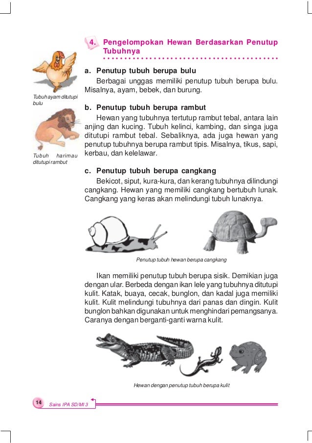 Soal Ipa Berdasarkan Kura Kura Masnurul