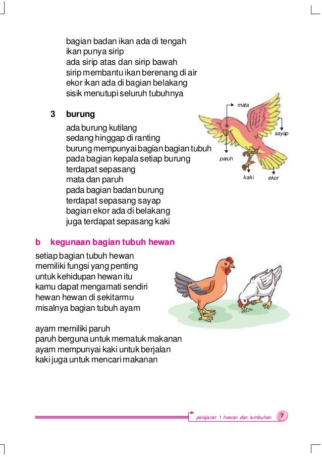 Sains ipa untuk kelas 2 sularmi