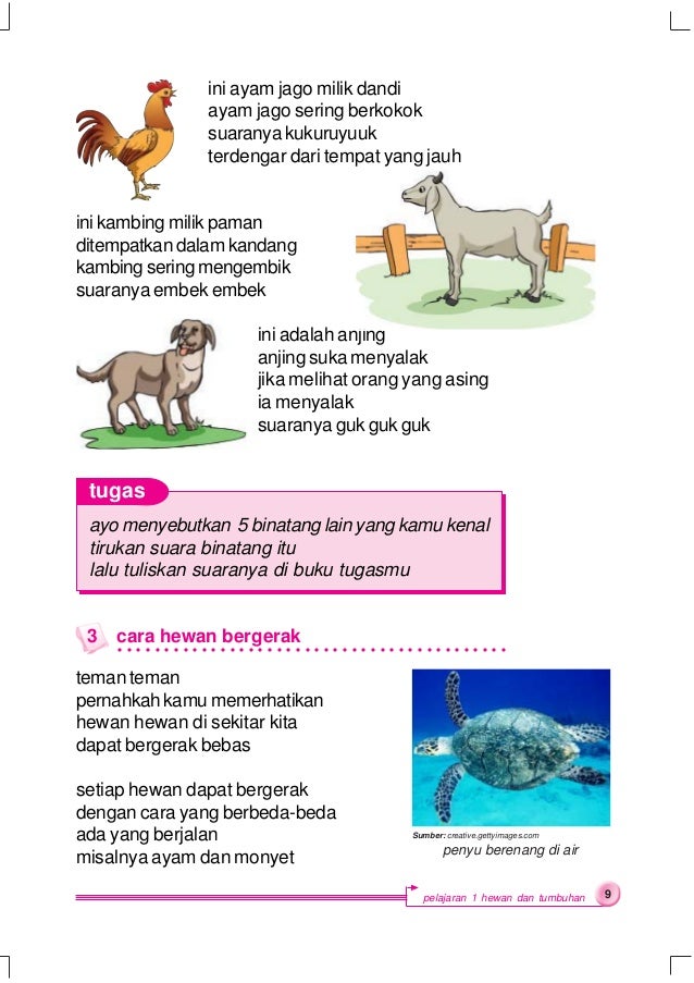 Sains ipa untuk  kelas 2 sularmi