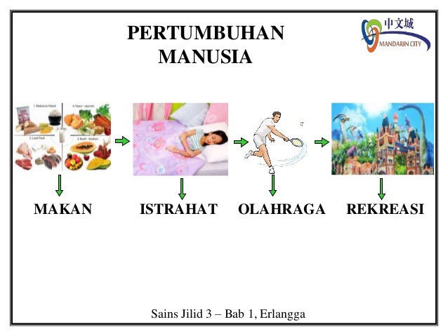 Sains jilid 3 bab 1 28 10 14 Sains jilid 3 bab 1 28 10 14