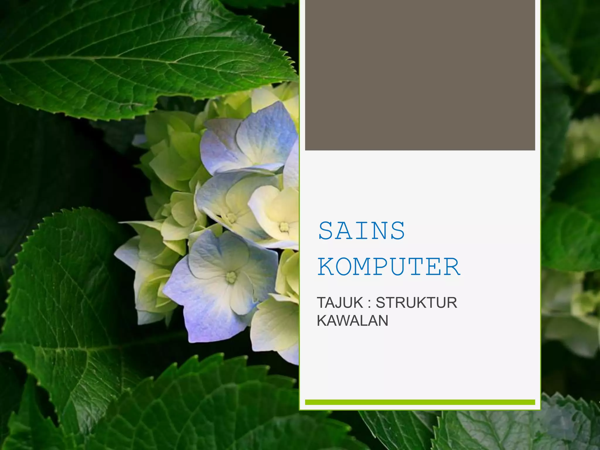 Sains komputer : struktur kawalan | PPTX