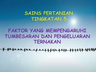 FAKTOR YANG MEMPENGARUHI
TUMBESARAN DAN PENGELUARAN
TERNAKAN
 