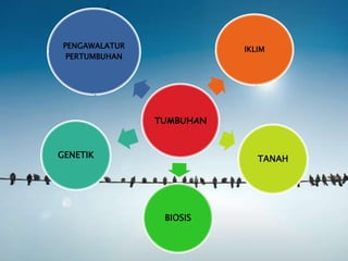 TUMBUHAN
IKLIM
TANAH
BIOSIS
GENETIK
PENGAWALATUR
PERTUMBUHAN
 