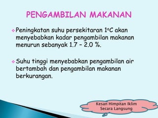  Peningkatan suhu persekitaran 1oC akan
menyebabkan kadar pengambilan makanan
menurun sebanyak 1.7 – 2.0 %.
 Suhu tinggi menyebabkan pengambilan air
bertambah dan pengambilan makanan
berkurangan.
Kesan Himpitan Iklim
Secara Langsung
 