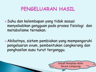  Suhu dan kelembapan yang tidak sesuai
menyebabkan gangguan pada proses fisiologi dan
metabolisme ternakan.
 Akibatnya, sistem pembiakan yang mempengaruhi
pengeluaran ovum, pembentukan cangkerang dan
penghasilan susu turut terganggu.
Kesan Himpitan Iklim
Secara Langsung
 