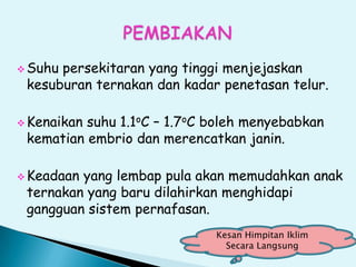  Suhu persekitaran yang tinggi menjejaskan
kesuburan ternakan dan kadar penetasan telur.
 Kenaikan suhu 1.1oC – 1.7oC boleh menyebabkan
kematian embrio dan merencatkan janin.
 Keadaan yang lembap pula akan memudahkan anak
ternakan yang baru dilahirkan menghidapi
gangguan sistem pernafasan.
Kesan Himpitan Iklim
Secara Langsung
 