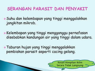  Suhu dan kelembapan yang tinggi menggalakkan
jangkitan mikrob.
 Kelembapan yang tinggi mengganggu pernafasan
disebabkan kandungan air yang tinggi dalam udara.
 Taburan hujan yang tinggi menggalakkan
pembiakan parasit seperti cacing gelang.
Kesan Himpitan Iklim
Secara Tidak Langsung
 