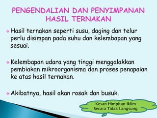  Hasil ternakan seperti susu, daging dan telur
perlu disimpan pada suhu dan kelembapan yang
sesuai.
 Kelembapan udara yang tinggi menggalakkan
pembiakan mikroorganisma dan proses penapaian
ke atas hasil ternakan.
 Akibatnya, hasil akan rosak dan busuk.
Kesan Himpitan Iklim
Secara Tidak Langsung
 