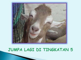 Iklim Ternakan, Sains pertanian tingkatan 5