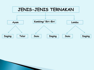 JENIS-JENIS TERNAKAN
Ayam Kambing/ Biri-Biri Lembu
Daging Telur Susu DagingSusu Daging
 