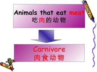 Carnivore 肉食动物 Animals that eat  meat 吃 肉 的动物 