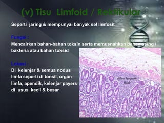 Toksid Maskulin Fungsi sel , tisu dan membran | PPTX