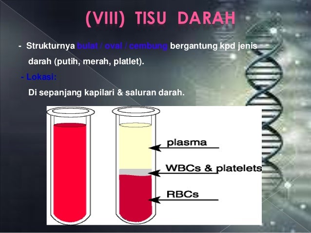 Fungsi sel , tisu dan membran