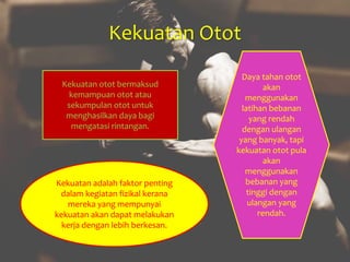 Kekuatan Otot
Kekuatan otot bermaksud
kemampuan otot atau
sekumpulan otot untuk
menghasilkan daya bagi
mengatasi rintangan.
Kekuatan adalah faktor penting
dalam kegiatan fizikal kerana
mereka yang mempunyai
kekuatan akan dapat melakukan
kerja dengan lebih berkesan.
Daya tahan otot
akan
menggunakan
latihan bebanan
yang rendah
dengan ulangan
yang banyak, tapi
kekuatan otot pula
akan
menggunakan
bebanan yang
tinggi dengan
ulangan yang
rendah.
 