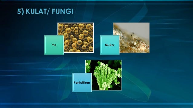 Sains Tahun 6 Unit 2 Mikroorganisma