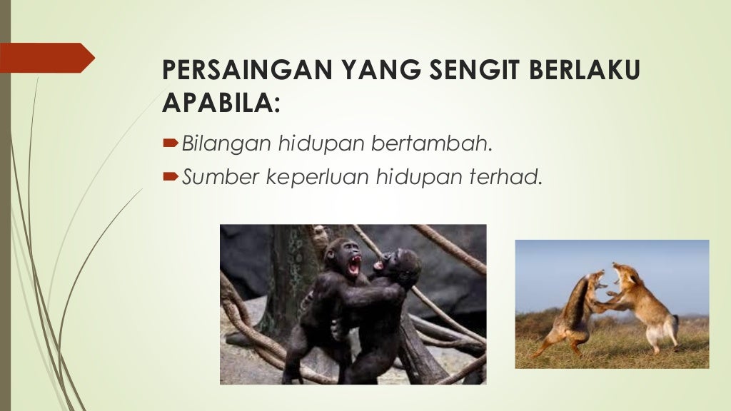 Sains Tahun 6 Unit 4 Interaksi Antara Hidupan