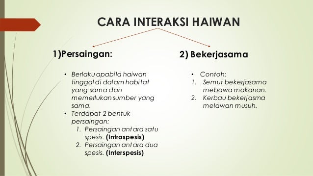 Nota Sains Tahun 6 Unit 4 Interaksi Antara Hidupan Chang Tun Kuet
