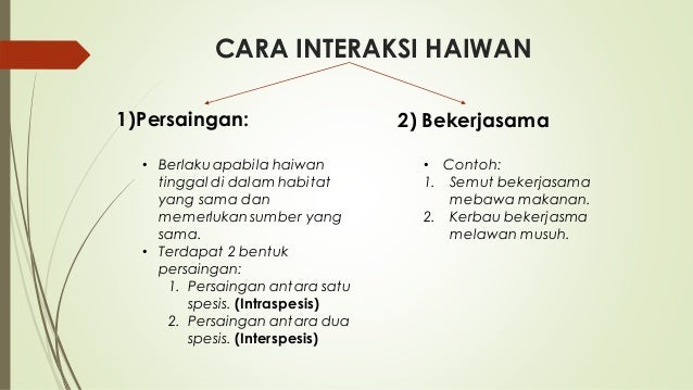 Faktor Persaingan Antara Haiwan Intraspesies