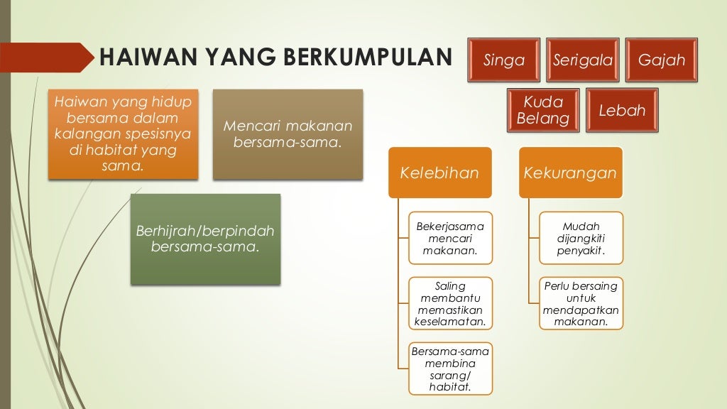 Sains Tahun 6 Unit 4 Interaksi Antara Hidupan