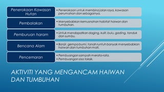 Pemeliharaan dan pemuliharaan tahun 6