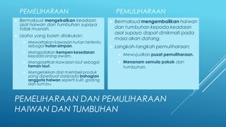 6 pemuliharaan pemeliharaan dan tahun Pemeliharaan dan