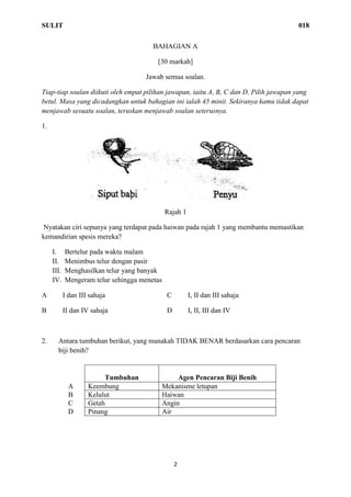 SULIT 018
2
BAHAGIAN A
[30 markah]
Jawab semua soalan.
Tiap-tiap soalan diikuti oleh empat pilihan jawapan, iaitu A, B, C dan D. Pilih jawapan yang
betul. Masa yang dicadangkan untuk bahagian ini ialah 45 minit. Sekiranya kamu tidak dapat
menjawab sesuatu soalan, teruskan menjawab soalan seterusnya.
1.
Rajah 1
Nyatakan ciri sepunya yang terdapat pada haiwan pada rajah 1 yang membantu memastikan
kemandirian spesis mereka?
I. Bertelur pada waktu malam
II. Menimbus telur dengan pasir
III. Menghasilkan telur yang banyak
IV. Mengeram telur sehingga menetas
A I dan III sahaja C I, II dan III sahaja
B II dan IV sahaja D I, II, III dan IV
2. Antara tumbuhan berikut, yang manakah TIDAK BENAR berdasarkan cara pencaran
biji benih?
Tumbuhan Agen Pencaran Biji Benih
A Keembung Mekanisme letupan
B Kelulut Haiwan
C Getah Angin
D Pinang Air
 
