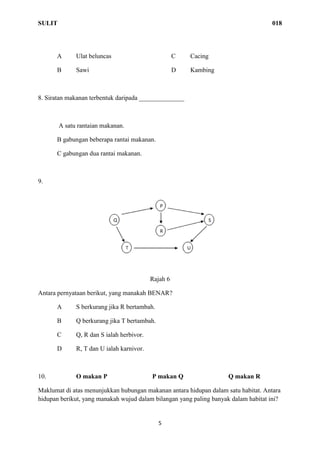 SULIT 018
5
A Ulat beluncas C Cacing
B Sawi D Kambing
8. Siratan makanan terbentuk daripada ______________
A satu rantaian makanan.
B gabungan beberapa rantai makanan.
C gabungan dua rantai makanan.
9.
Rajah 6
Antara pernyataan berikut, yang manakah BENAR?
A S berkurang jika R bertambah.
B Q berkurang jika T bertambah.
C Q, R dan S ialah herbivor.
D R, T dan U ialah karnivor.
10. O makan P P makan Q Q makan R
Maklumat di atas menunjukkan hubungan makanan antara hidupan dalam satu habitat. Antara
hidupan berikut, yang manakah wujud dalam bilangan yang paling banyak dalam habitat ini?
 