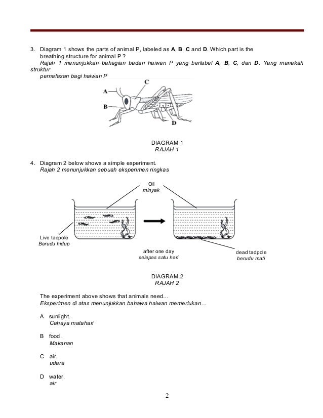 soalan sains TAHUN 4 AKHIR TAHUN