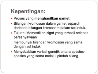 Kepentingan:
 Proses yang menghasilkan gamet
 Bilangan kromosom dalam gamet separuh
daripada bilangan kromosom dalam sel induk.
 Tujuan: Memastikan zigot yang terhasil selepas
persenyawaan
mempunyai bilangan kromosom yang sama
dengan sel induk
 Menyebabkan variasi genetik antara spesies-
spesies yang sama melalui pindah silang
 
