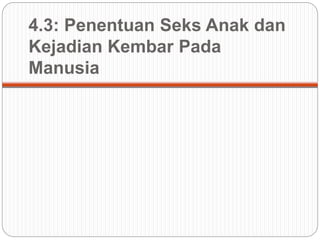 4.3: Penentuan Seks Anak dan
Kejadian Kembar Pada
Manusia
 
