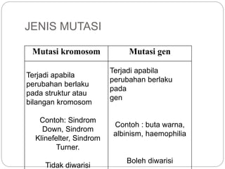 JENIS MUTASI
Mutasi kromosom Mutasi gen
Terjadi apabila
perubahan berlaku
pada struktur atau
bilangan kromosom
Contoh: Sindrom
Down, Sindrom
Klinefelter, Sindrom
Turner.
Tidak diwarisi
Terjadi apabila
perubahan berlaku
pada
gen
Contoh : buta warna,
albinism, haemophilia
Boleh diwarisi
 