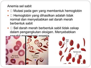 Anemia sel sabit
 Mutasi pada gen yang membentuk hemoglobin
 Hemoglobin yang dihasilkan adalah tidak
normal dan menyebabkan sel darah merah
berbentuk sabit
 Sel darah merah berbentuk sabit tidak cekap
dalam pengangkutan oksigen. Menyebabkan
pesakit mengalami anemia
 