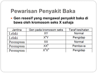 Pewarisan Penyakit Baka
 Gen resesif yang mengawal penyakit baka di
bawa oleh kromosom seks X sahaja
 