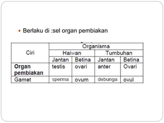  Berlaku di :sel organ pembiakan
 