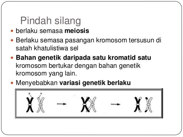 Sains ting 4 bab 3