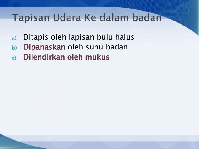 Sains tingkatan 3 sains bab 1 kepentingan sistem respirasi 