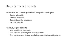 Deux terroirs distincts
• Au Nord, les schistes (comme à Faugères) et les grès
• Des terroirs acides
• Des vins profonds
• Donnent des vins peu acides
• De longue garde
• Au sud, argilo-calcaire
• Vins plus légers, plus acides
• Plus calcaires vers Assignan et Villespassans
• Plus marneux vers Cazedarnes, Puisserguier, Creissan et Quarante
 
