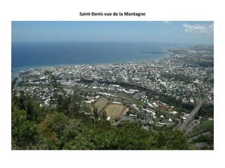 Saint-Denis vue de la Montagne
 