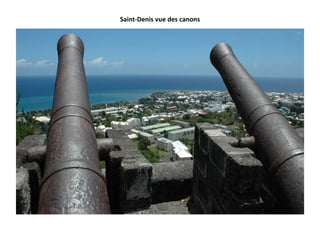 Saint-Denis vue des canons
 