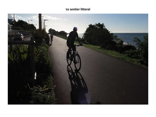 Le sentier littoral
 