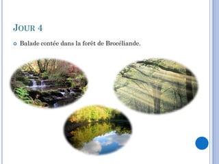 JOUR 4
   Balade contée dans la forêt de Brocéliande.
 