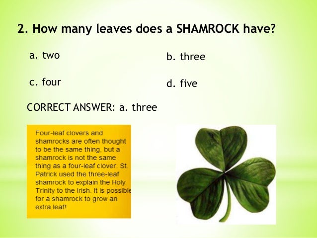 pics A Shamrock Has How Many Leaves saint patrick s day quiz