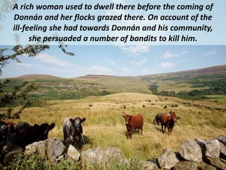 A rich woman used to dwell there before the coming of
Donnán and her flocks grazed there. On account of the
ill-feeling she had towards Donnán and his community,
she persuaded a number of bandits to kill him.
 